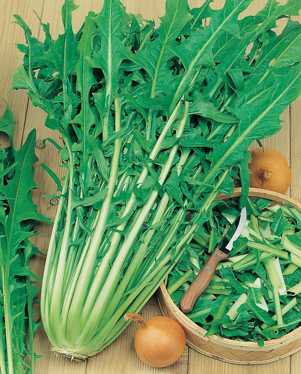 Pissenlit ameliore a coeur plein - 1 g