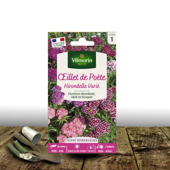Graines d'oeillet de poète hirondelle varié - vilmorin sachet