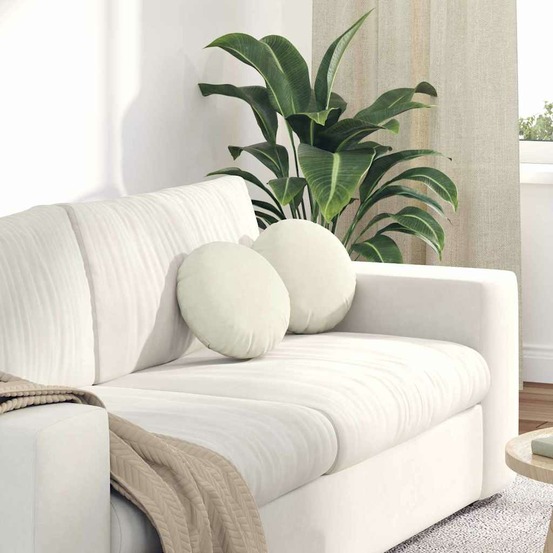 Coussins de siège 2 pcs crème ø30 x 13 cm velours