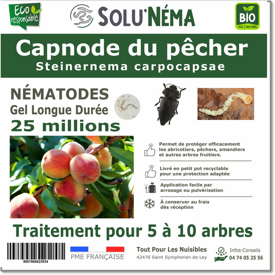 Solunéma - Capnode du pecher - 25 millions de Nématodes Steinernema Carpocapsae (SC)
