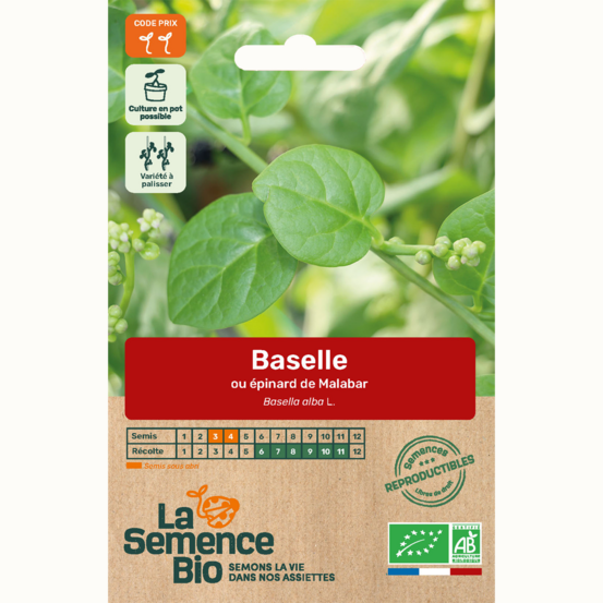 Épinard baselle ou épinard de malabar - graines bio