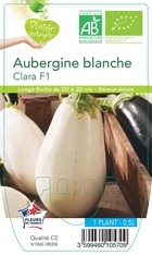 Aubergine clara f1   -plant ab  en  pot 0.5 l- plante du jardin