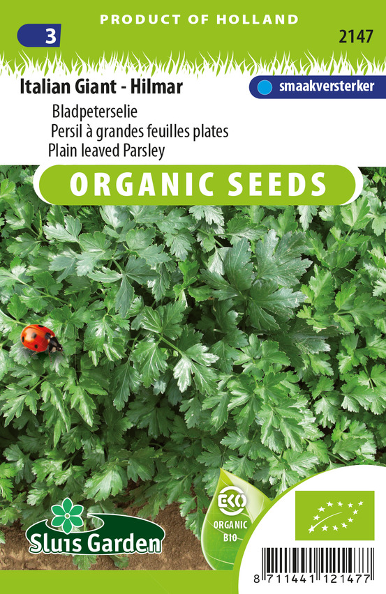 Persil à grandes feuilles plates italian giant - hilmar - graines biologiques - ca. 2 g (livraison gratuite)