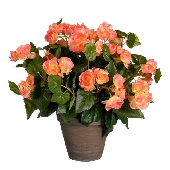 Mica decorations plante artificielle bégonia - h37 cm - rose saumon