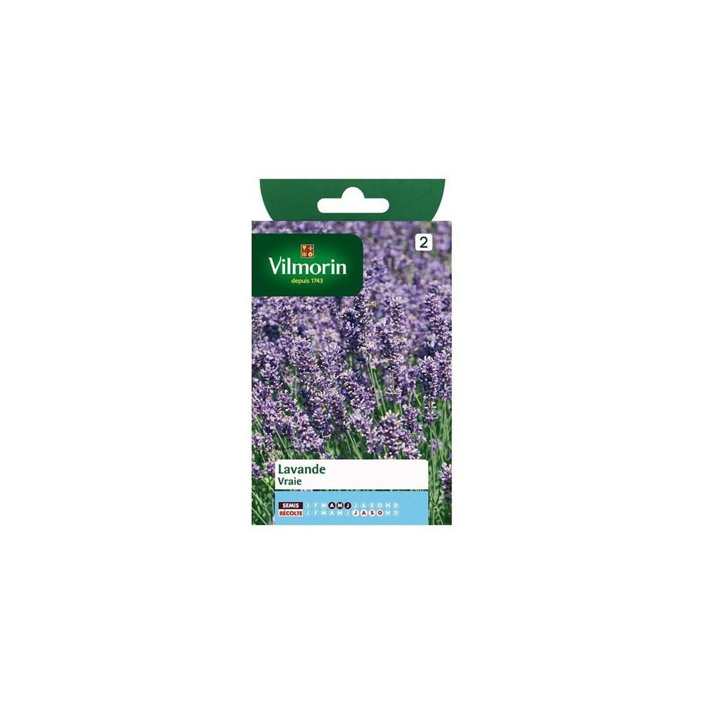 Sachet graines lavandre vraie