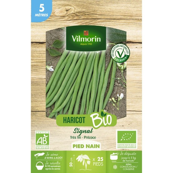 Graines de haricot nain vert signal bio - 5 metres