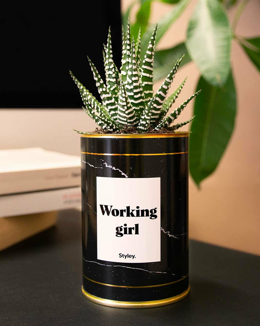 Plante à message - working girl - cactus