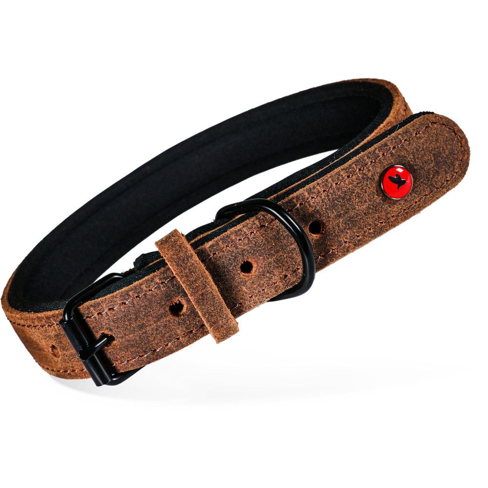 Collier pour chien en cuir huilé doublé néoprène, réglable 29-36 cm, sangle