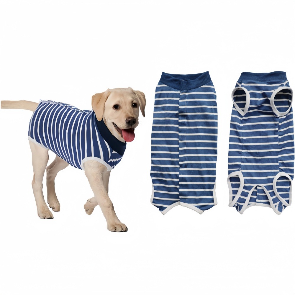 Vêtement de convalescence pour chien s