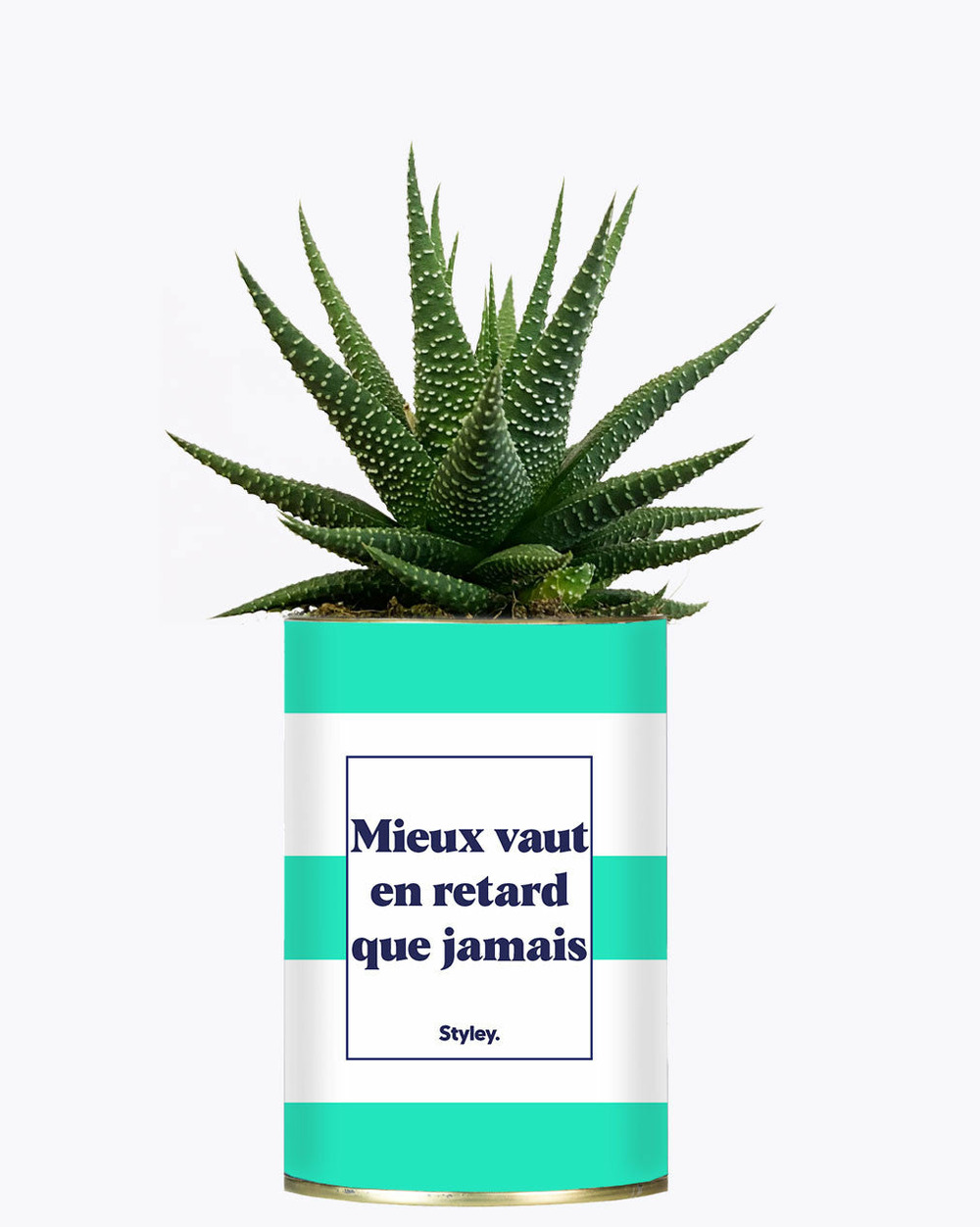 Idée cadeau - mieux vaut en retard que jamais - cactus