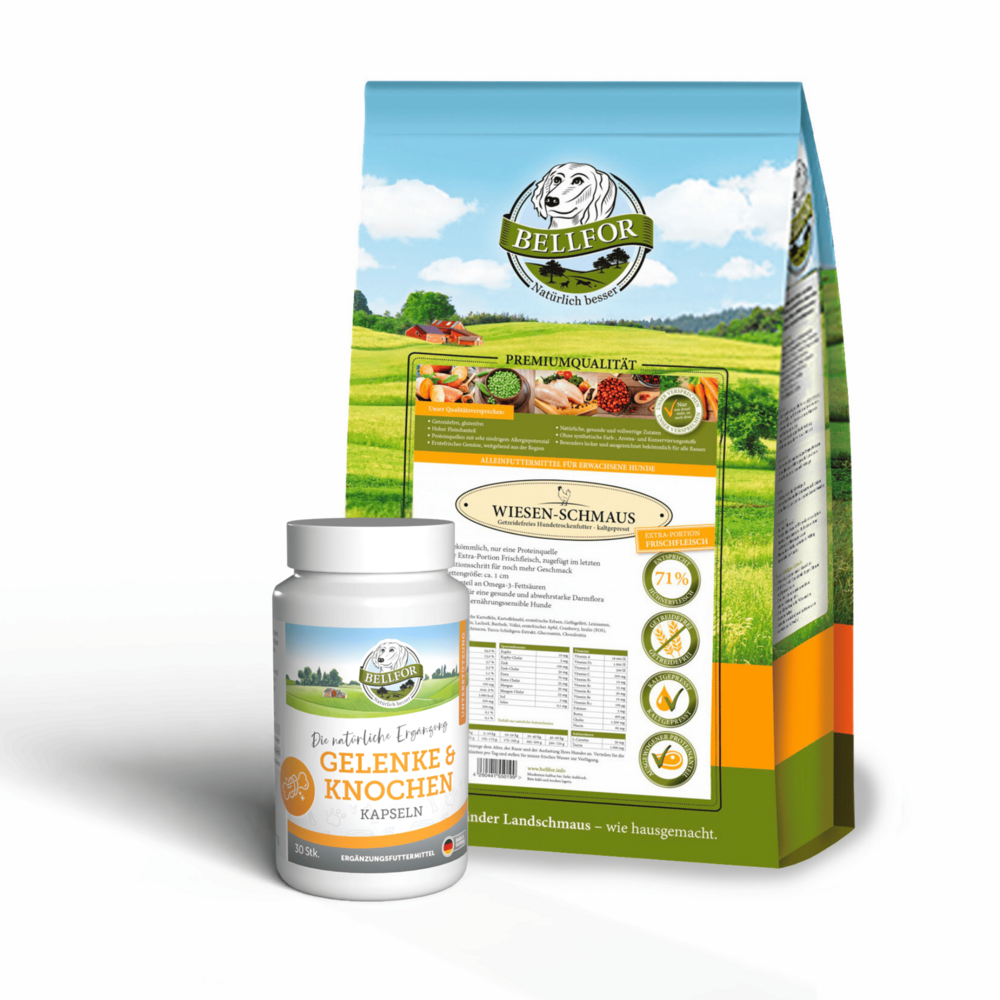 Set d'aliments pour grands chiens avec articulations et os gélules