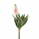 Ptmd plante artificielle succulent - 32x21x46 cm - plastique - l'or