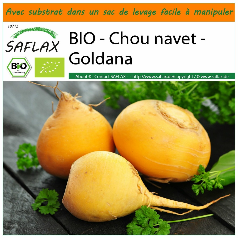 Garden in the bag - bio - chou navet - goldana - 500 graines - brassica rapa