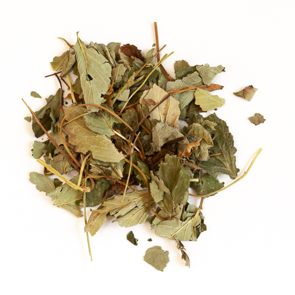 Feuilles de fraisier - 100 g