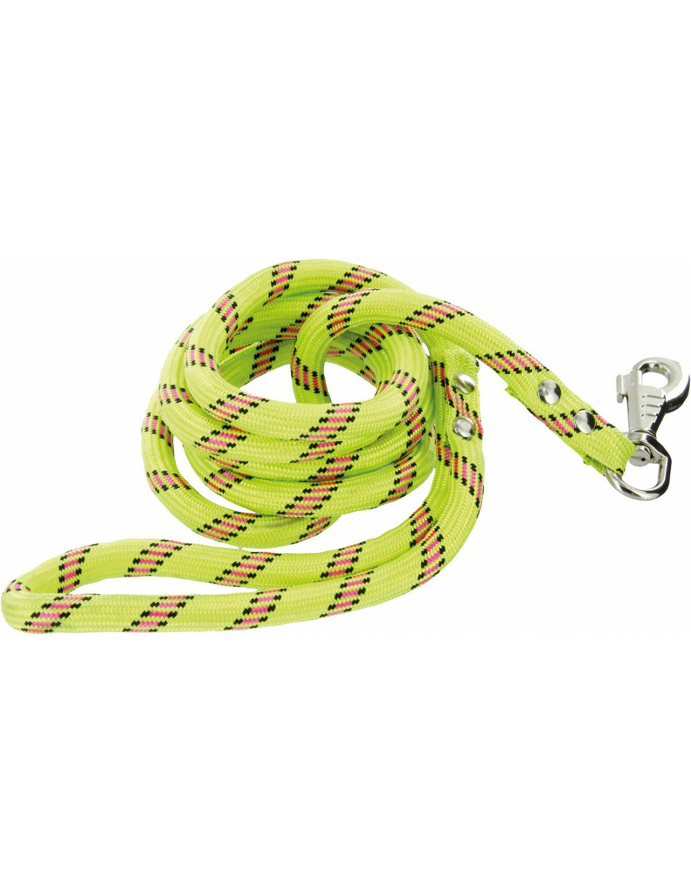 Laisse nylon® corde pour chien anis