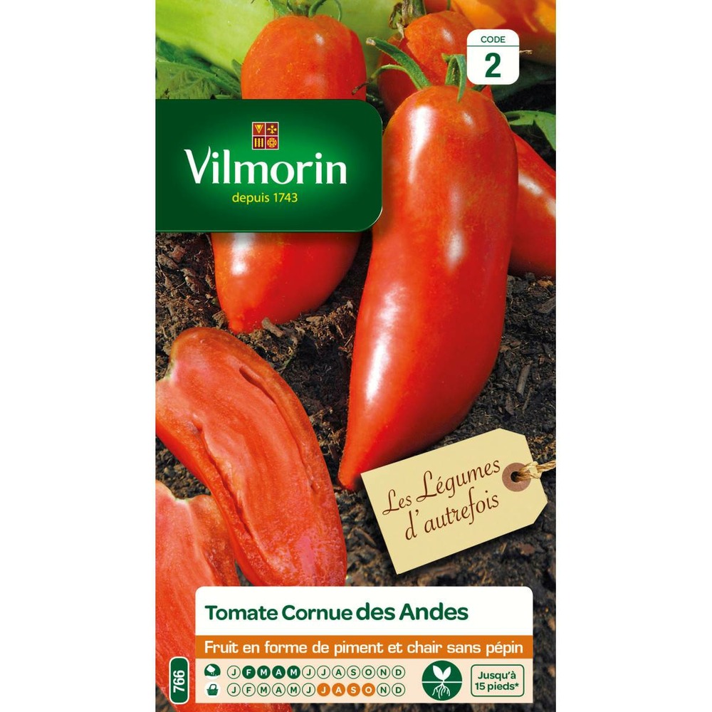 Sachet graines tomate cornue des andes