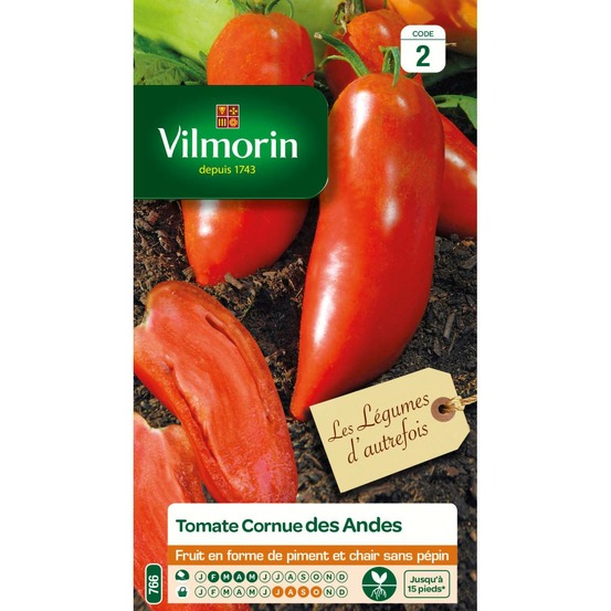 Sachet graines tomate cornue des andes