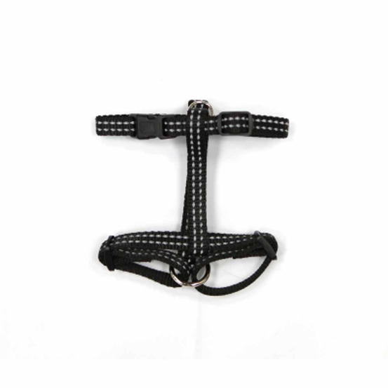 Harnais pour chien