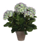 Mica decorations - hortensia artificielle lilas en pot h45