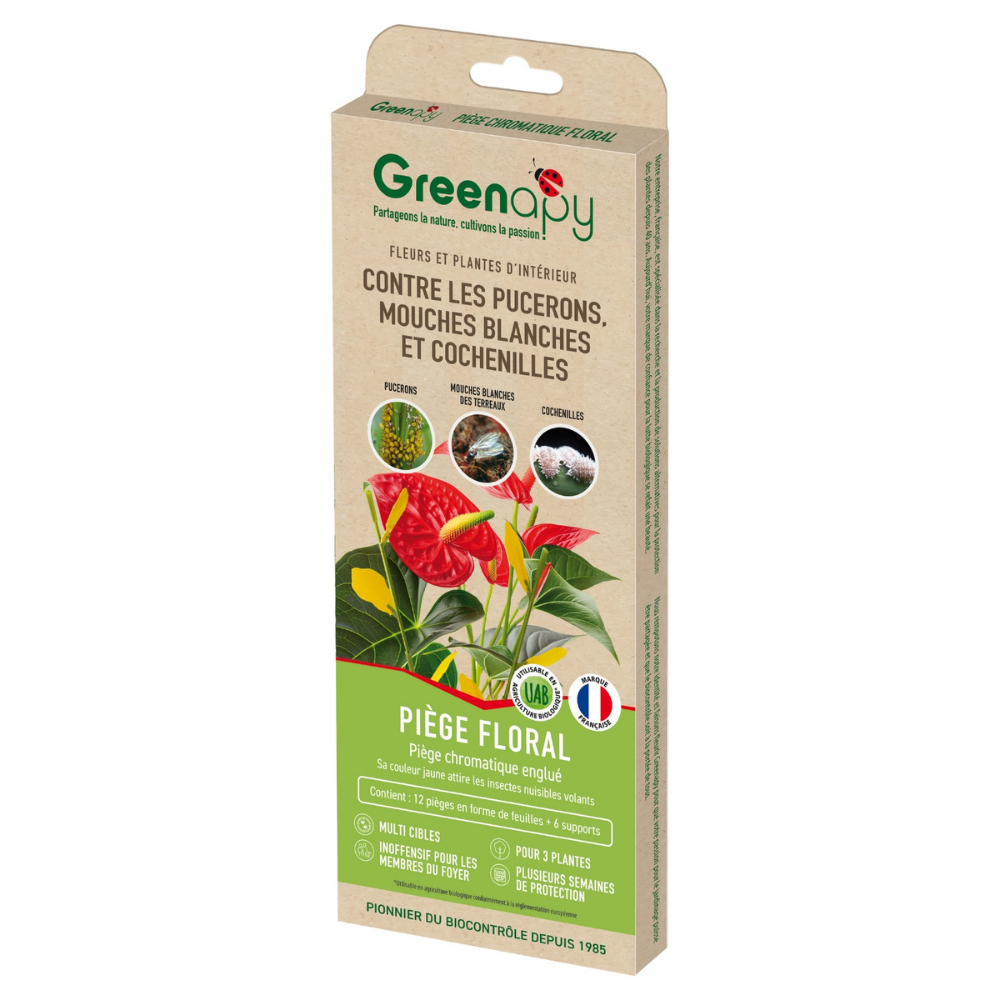 piÃšge engluÃ© floral anti insectes