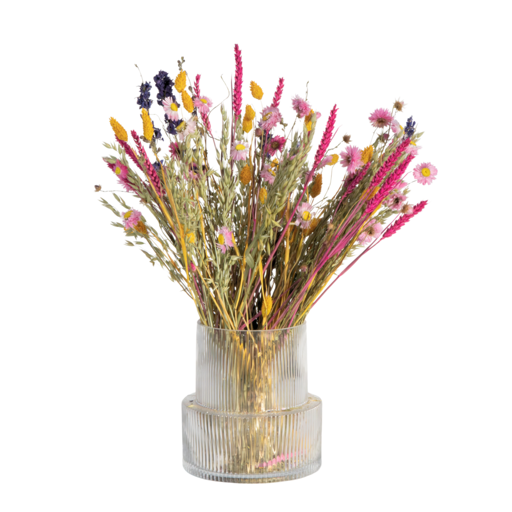 Fleurs séchées - bouquet 'trendy vibrant'