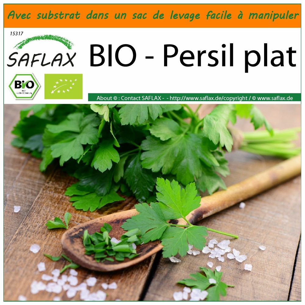 Garden in the bag - bio - persil plat - 600 graines - petroselinum crispum