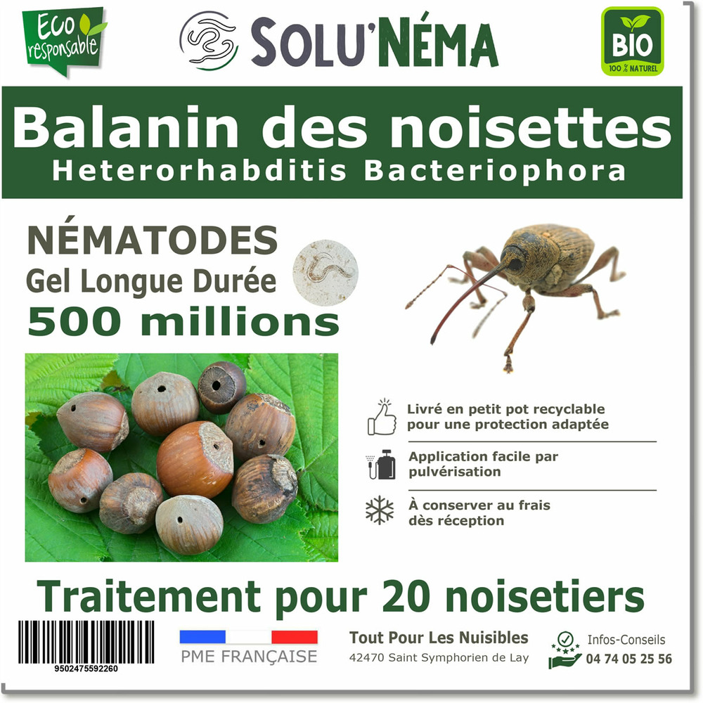 Solunéma-nématodes balanin des noisettes- (hb) 500 millions pour 20 noisetiers