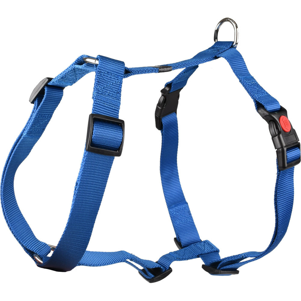 Harnais h ziggi xxl cou de 60 -85 cm 25 mm bleu pour chien