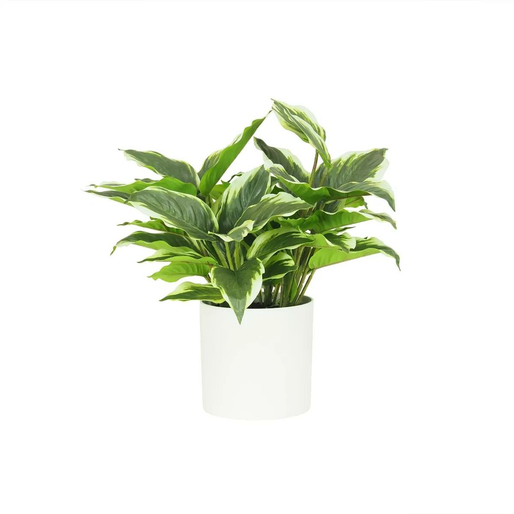 Dieffenbachia artificiel 40cm