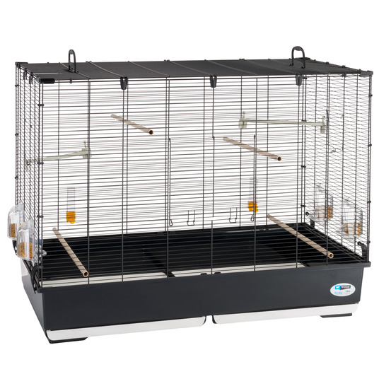 Ferplast volière cage à oiseaux piano 7 grande cage pour oiseaux, canaris, pinsons, perruches ondulées, inséparables, en métal,