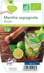 Menthe espagnole mojito plante ab pot 1l - plant d'aromatique du jardin