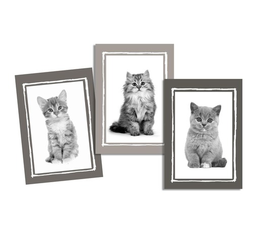 Lot de 3 torchons chatons