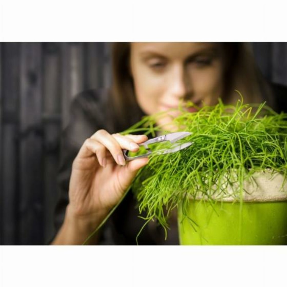 Pot long vert - vert foncé