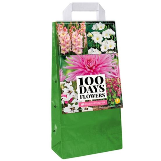 125 bulbes fleurs roses à planter