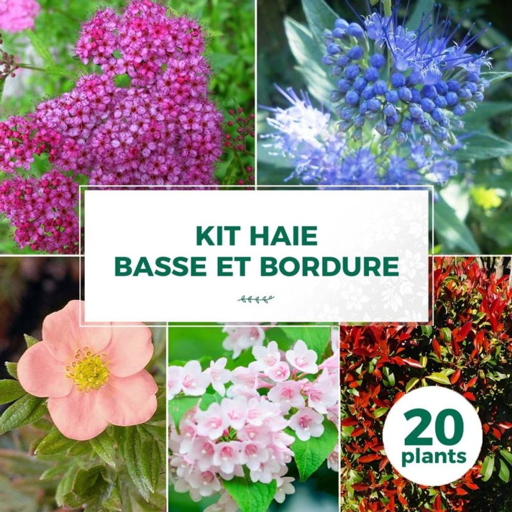 KIT HAIE BASSE BORD 20P GF400-(766743)