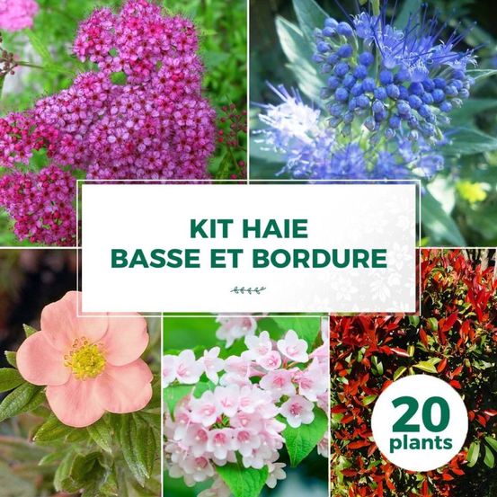 KIT HAIE BASSE BORD 20P GF400-(766743)