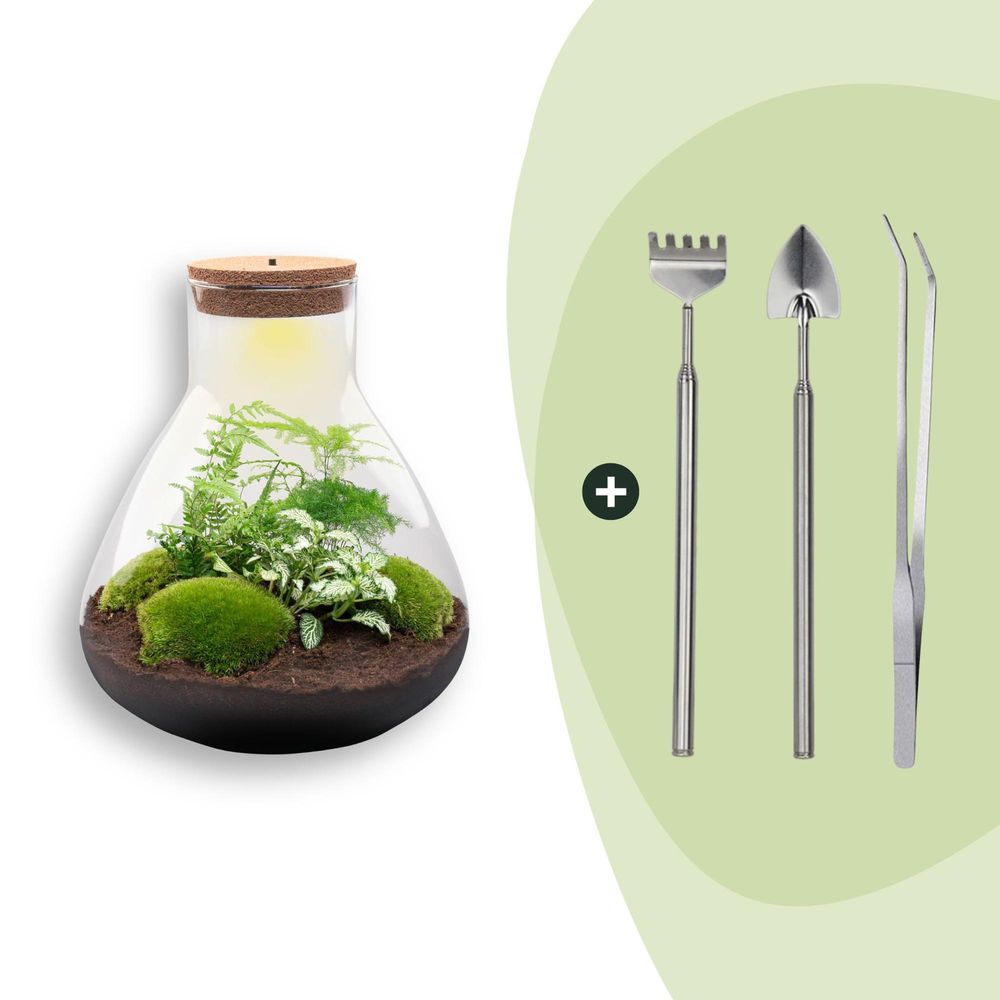Terrarium à composer bouteille en verre recyclé - ø30-h35cm - avec râteau, pelle et pince - terrarium diy
