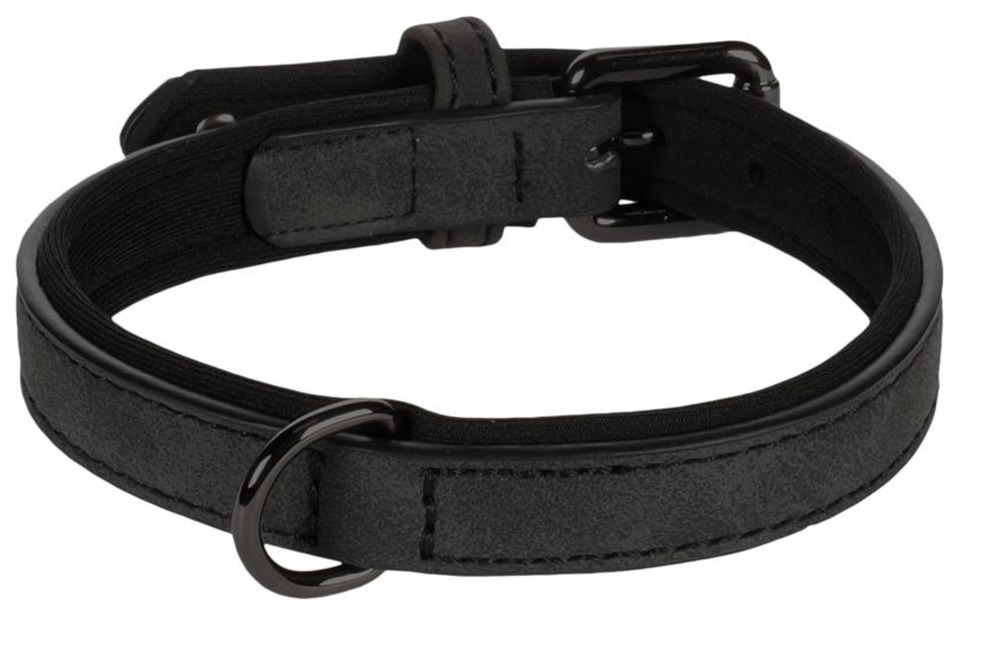 Collier pour chien avec doublure néoprène