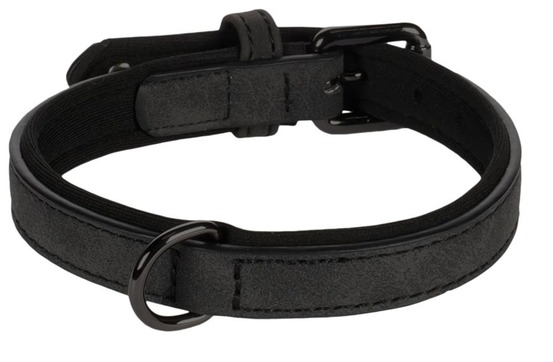 Collier pour chien avec doublure néoprène