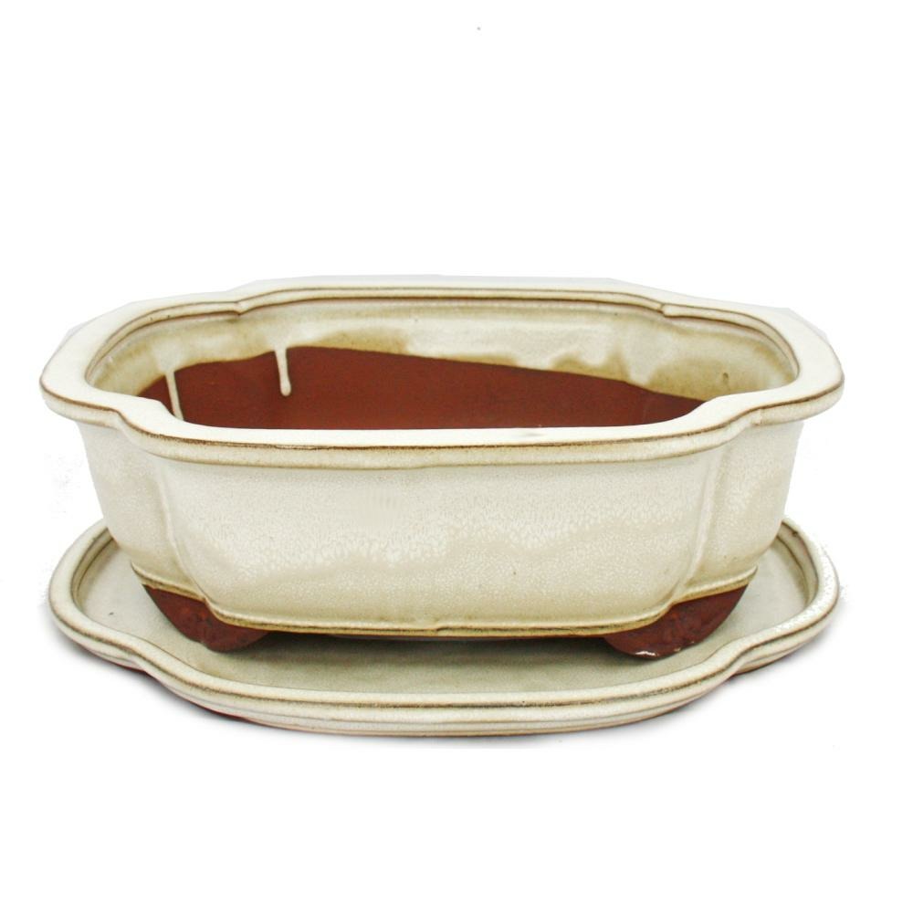 Bol bonsaï avec soucoupe taille 4 - haitang i4 - beige clair - l 26cm - b 20,5cm - h 8,5cm