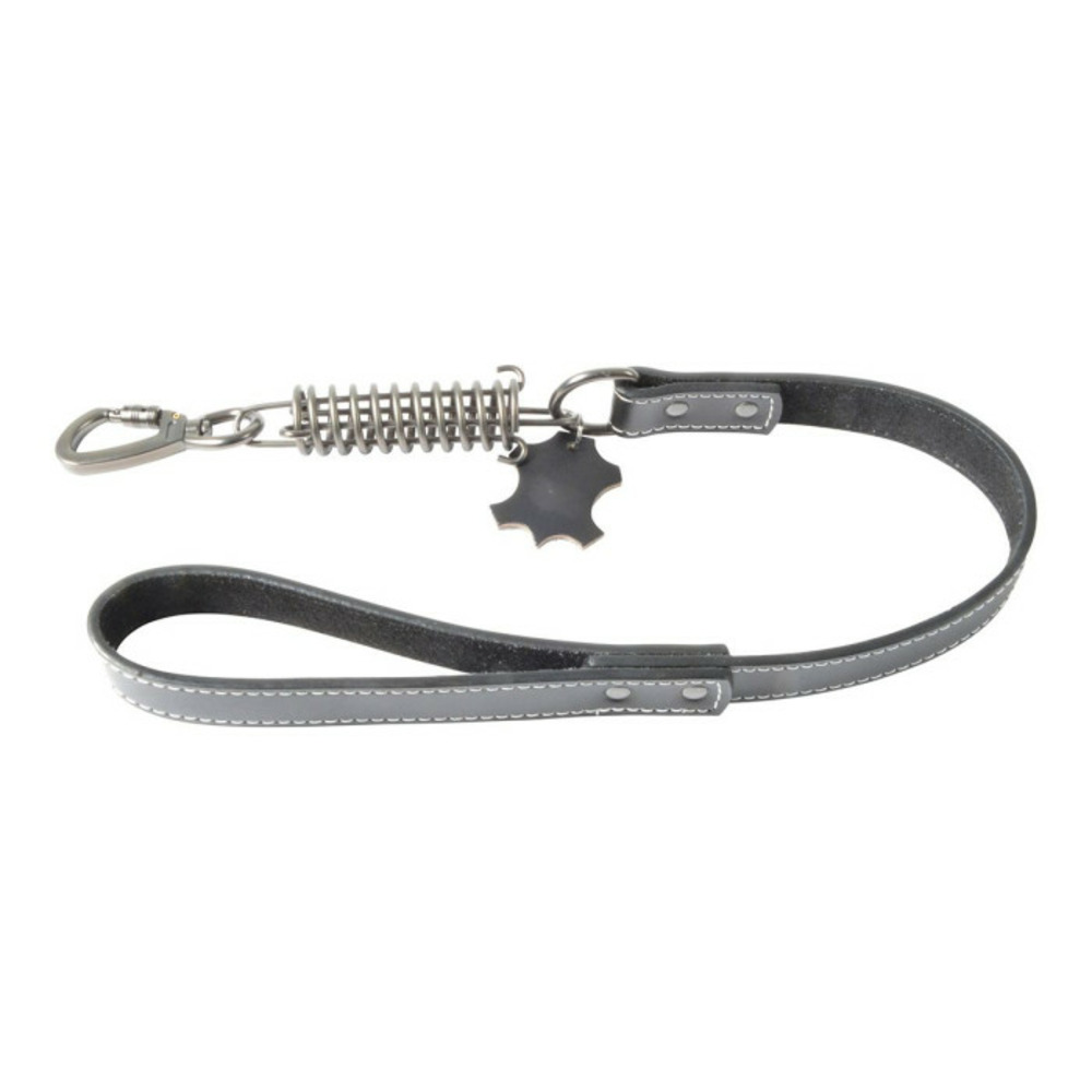 Laisse pour chien anti à-coups 