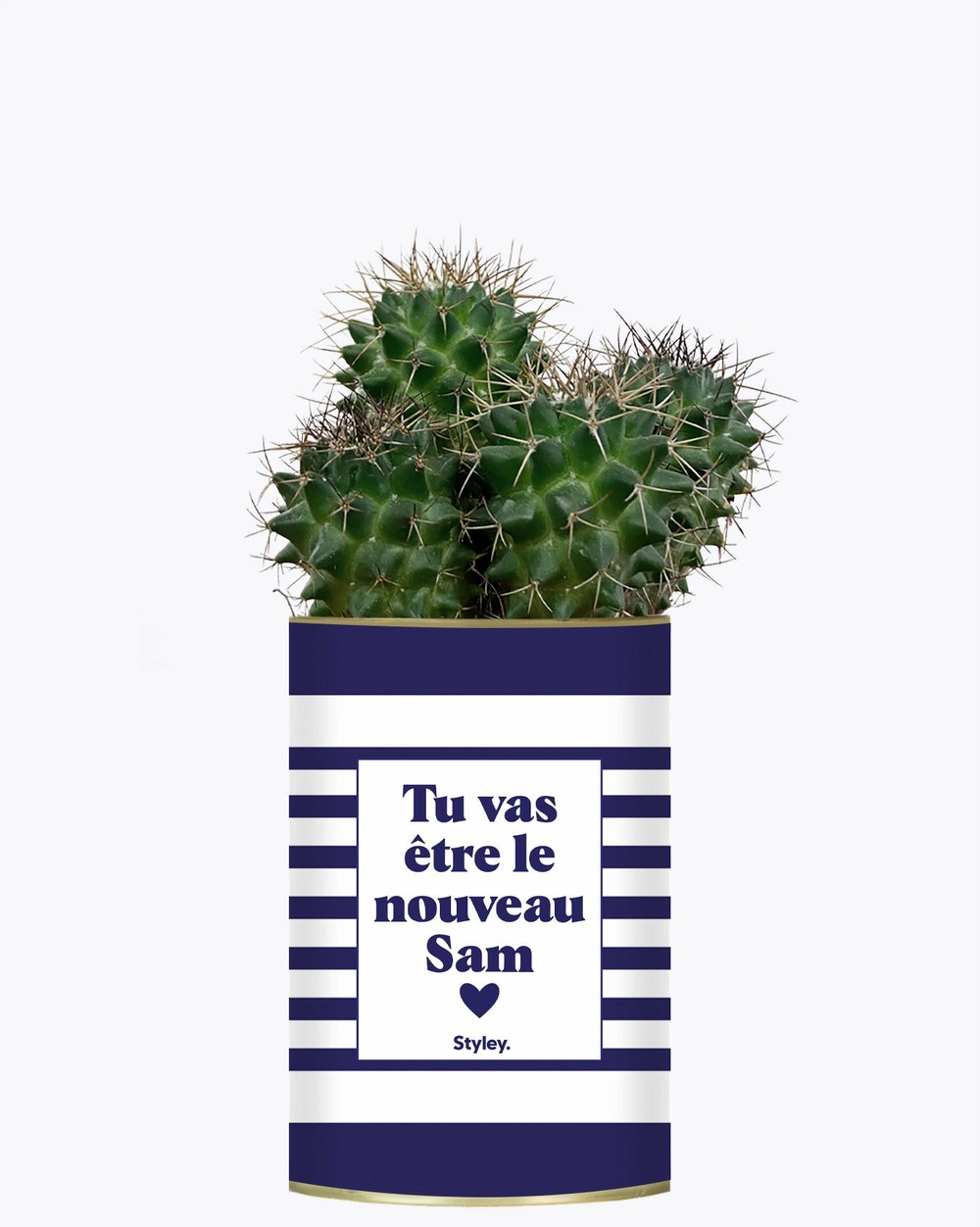 Plante drôle - tu vas être le nouveau sam - cactus