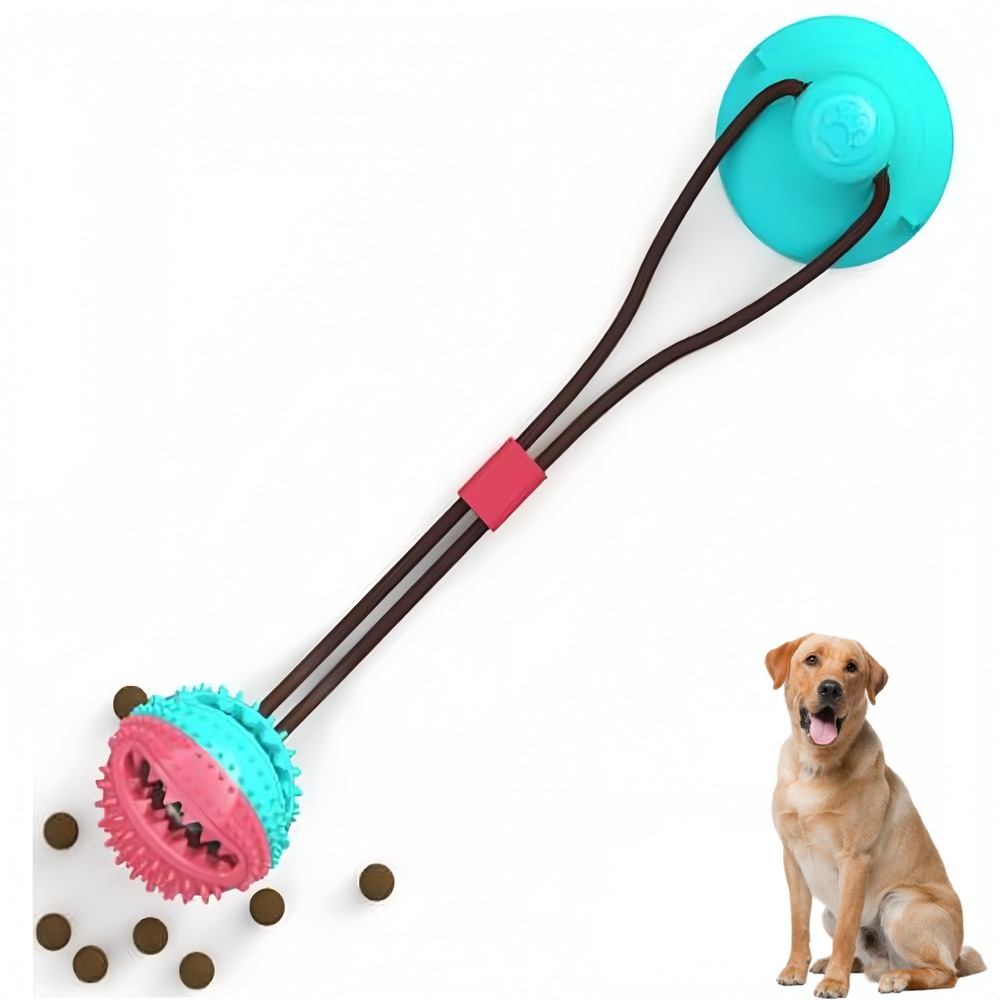 Jouet dental pour chien actif