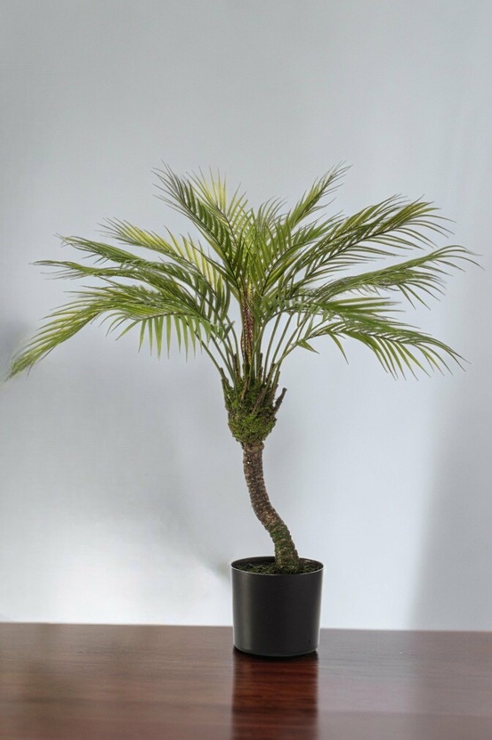 Chamaedorea plante artificielle - h85cm, ø12cm