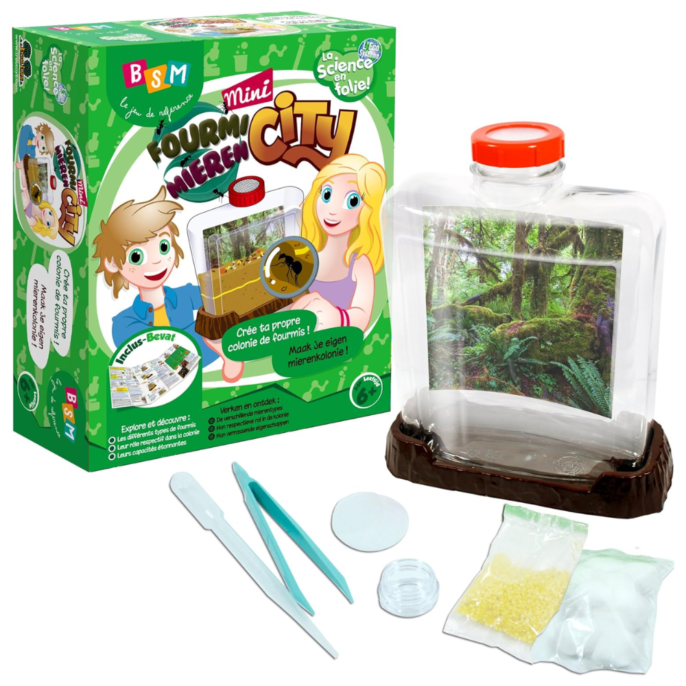 Mini fourmi city