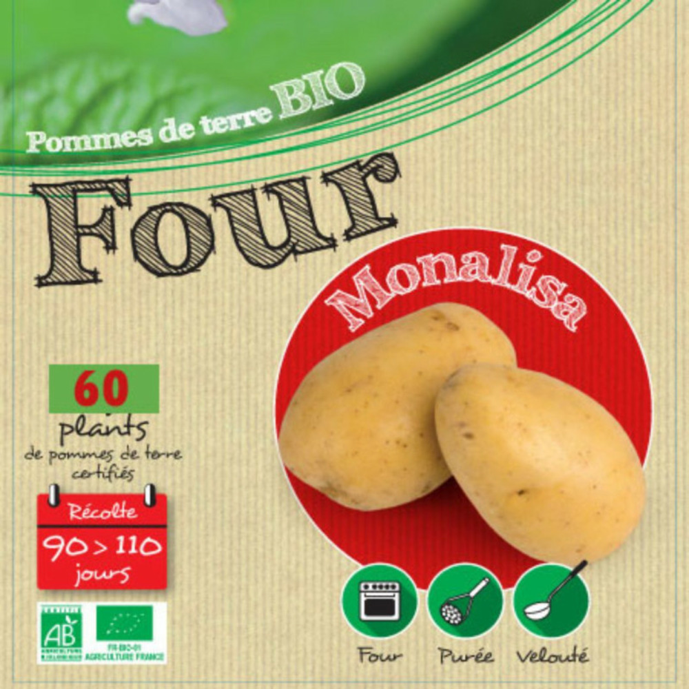 Monalisa biologique 60 plants de pomme de terre