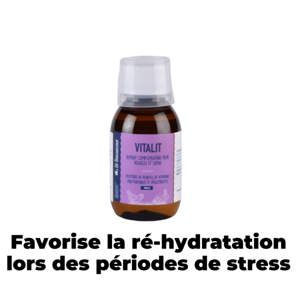 Vitalit, vitamines, favorise la ré-hydratation lors de stress