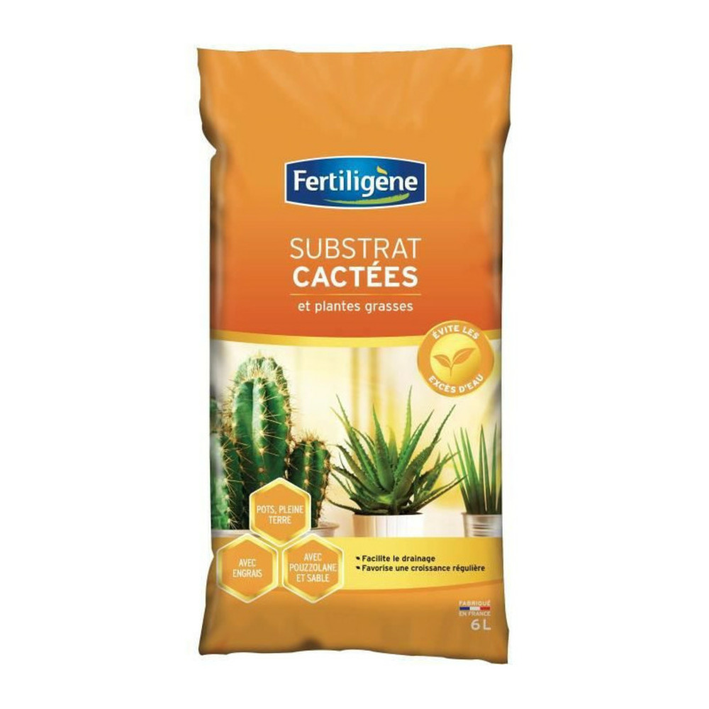 Fertiligene - terreau cactees 6l