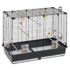 Ferplast grande cage pour canaris, perruches et oiseaux exotiques piano 6, avec mangeoires pivotantes et accessoires