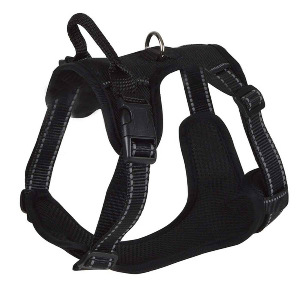 Harnais anti-traction pour chien 